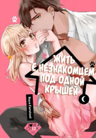 Cover 41180