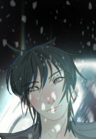 Cover 41208