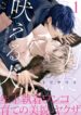 Cover 41312