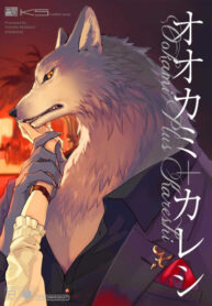 Cover 41374