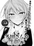 Cover 41673
