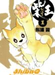 Cover 41681