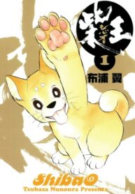 Cover 41681