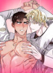 Cover 41743