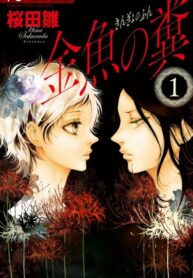 Cover 41879