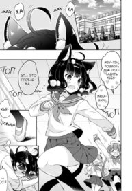 Cover 42085