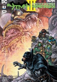 Cover 42165