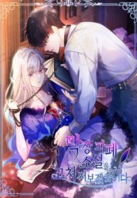 Cover 42377