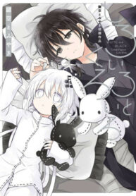Cover 42417
