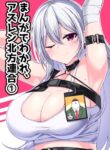 Cover 42475