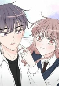Cover 42620