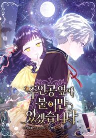 Cover 42888