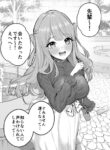 Cover 43036