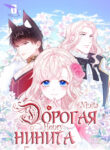 Cover 43074
