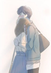 Cover 43090