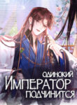 Cover 43098