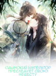 Cover 43124