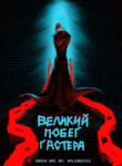 Cover 43126