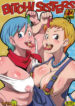 Cover 43260