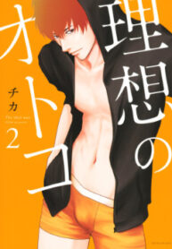 Cover 43310