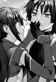 Cover 43344