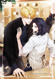 Cover 43466