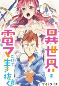 Cover 43546