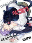 Cover 43574