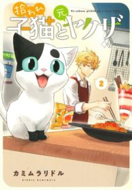 Cover 43594