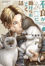 Cover 43638