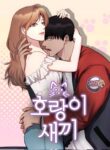 Cover 43741