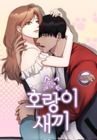 Cover 43741