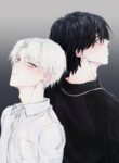 Cover 43862