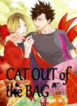 Cover 43930