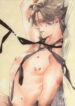 Cover 44117