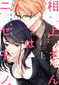 Cover 44138