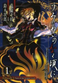 Cover 44240