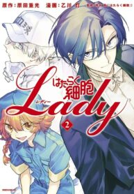 Cover 44547