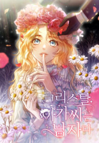 Cover 44614