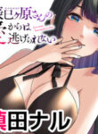 Cover 44676