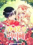 Cover 44716