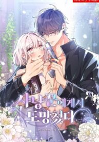 Cover 45113