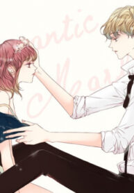 Cover 45211