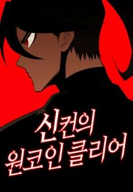 Cover 45325