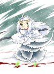 Cover 45475