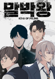 Cover 45491