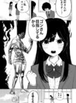 Cover 45522