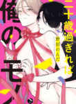 Cover 45524