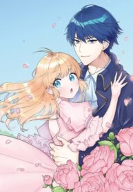 Cover 45696