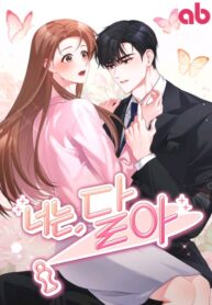 Cover 46295